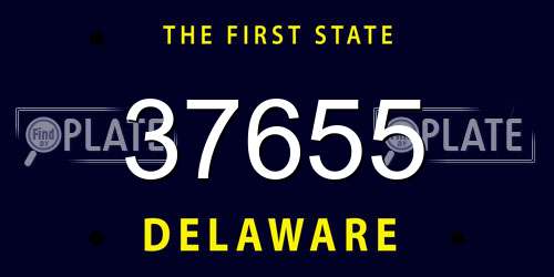 37655 Delaware License Plate