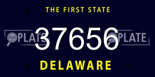 37656 Delaware License Plate