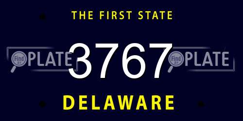 3767 Delaware License Plate