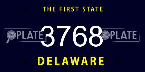 3768 Delaware License Plate