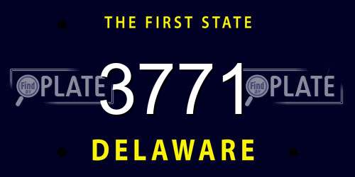 3771 Delaware License Plate