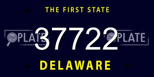37722 Delaware License Plate