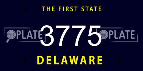 3775 Delaware License Plate