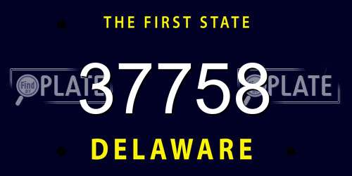 37758 Delaware License Plate