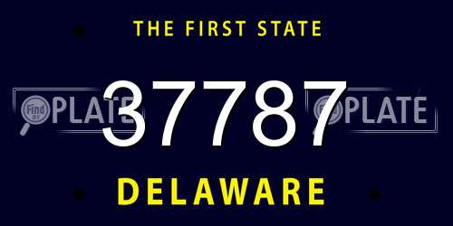 37787 Delaware License Plate
