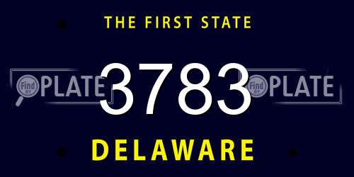 3783 Delaware License Plate