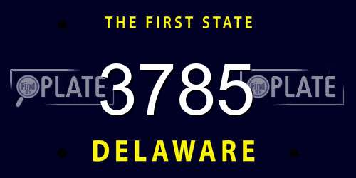 3785 Delaware License Plate
