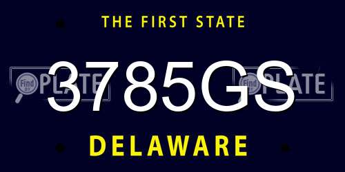 3785GS Delaware License Plate
