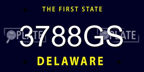 3788GS Delaware License Plate