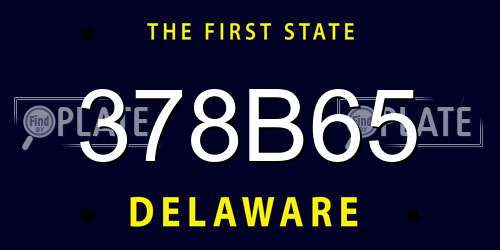 378B65 Delaware License Plate