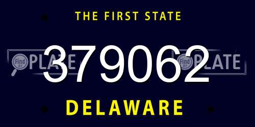 379062 Delaware License Plate
