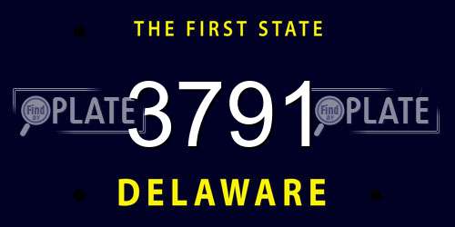 3791 Delaware License Plate