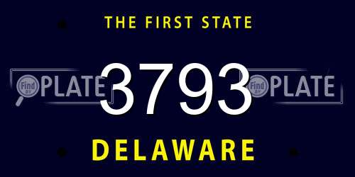 3793 Delaware License Plate