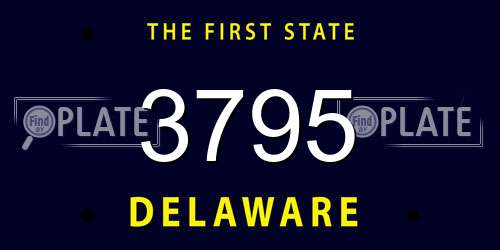 3795 Delaware License Plate