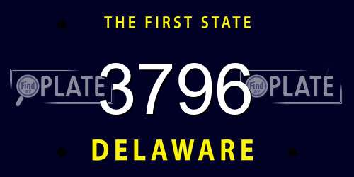 3796 Delaware License Plate