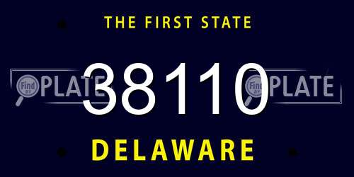 38110 Delaware License Plate