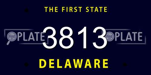 3813 Delaware License Plate