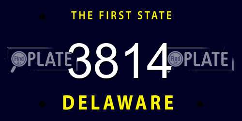3814 Delaware License Plate