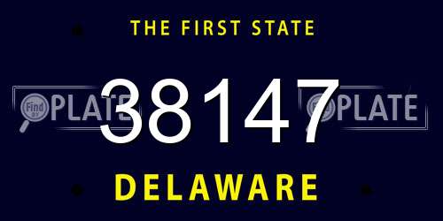 38147 Delaware License Plate