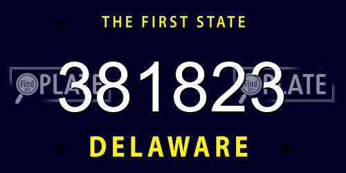 381823 Delaware License Plate