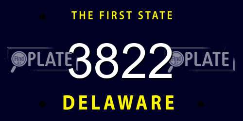 3822 Delaware License Plate