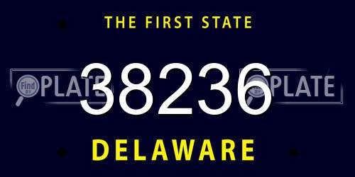 38236 Delaware License Plate