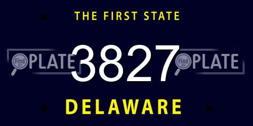 3827 Delaware License Plate