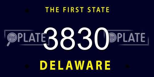3830 Delaware License Plate