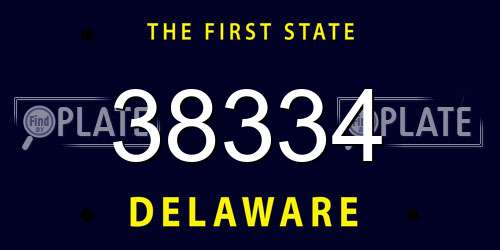 38334 Delaware License Plate