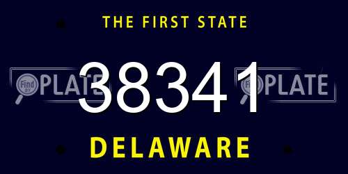 38341 Delaware License Plate