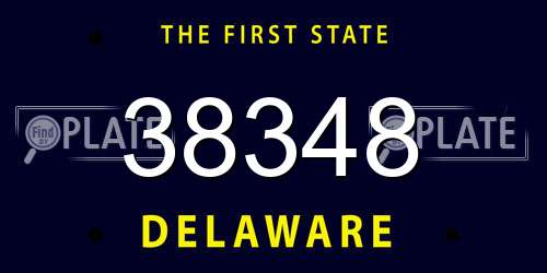 38348 Delaware License Plate