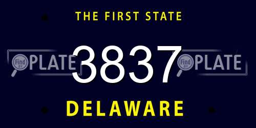3837 Delaware License Plate