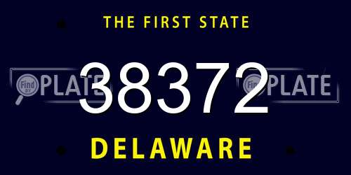 38372 Delaware License Plate