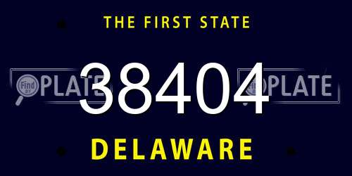 38404 Delaware License Plate