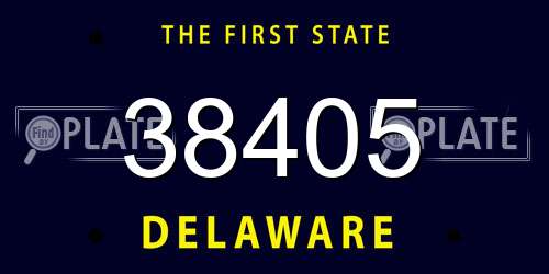 38405 Delaware License Plate