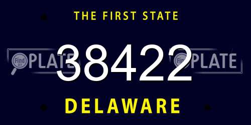 38422 Delaware License Plate