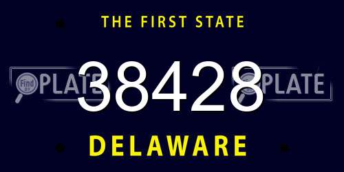 38428 Delaware License Plate