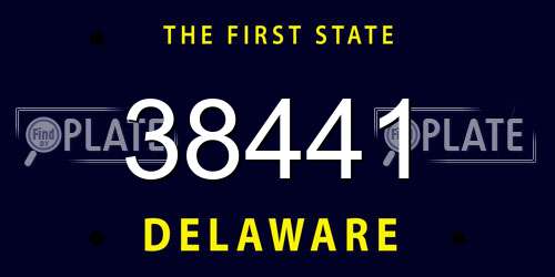 38441 Delaware License Plate