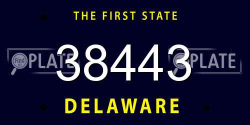 38443 Delaware License Plate
