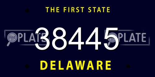 38445 Delaware License Plate