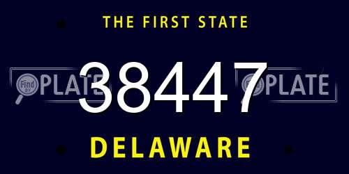 38447 Delaware License Plate