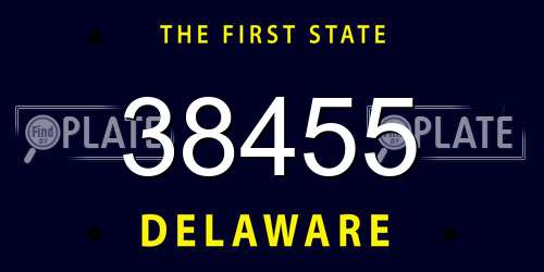 38455 Delaware License Plate
