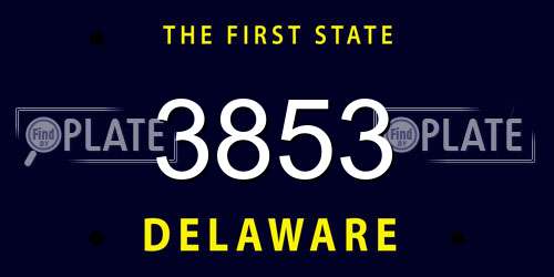 3853 Delaware License Plate