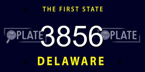 3856 Delaware License Plate