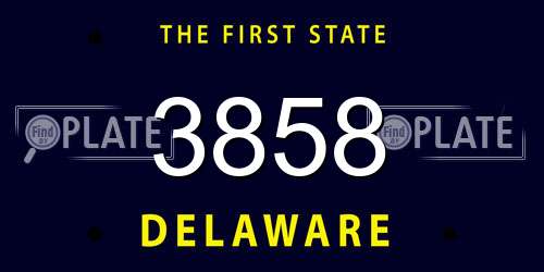 3858 Delaware License Plate
