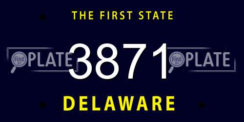 3871 Delaware License Plate