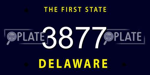 3877 Delaware License Plate