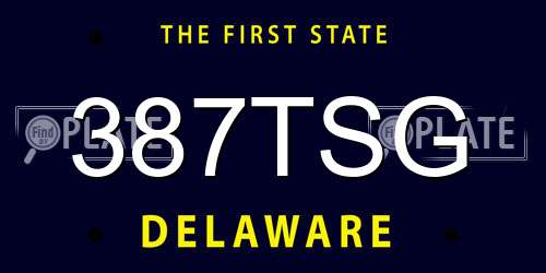 387TSG Delaware License Plate