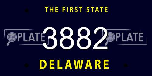 3882 Delaware License Plate