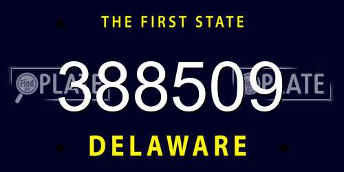 388509 Delaware License Plate